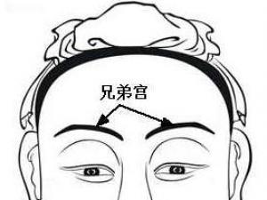 面相算命圖解:面相十二宮圖之兄弟宮