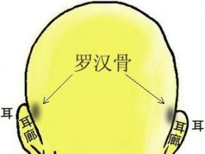 骨相圖解:羅漢骨