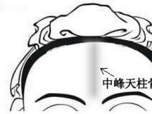 骨相圖解:中峰天柱骨