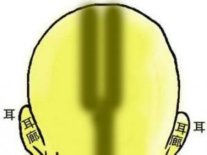 骨相圖解:雙龍金鎖骨