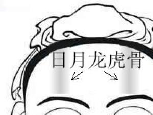 骨相圖解:日月龍虎骨