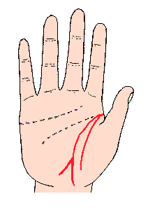 生命線圖解:手相生命線算命圖解1.gif