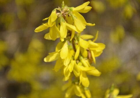 �B�N�Ľ�B-�B�N�Ĺ�Ч�c����