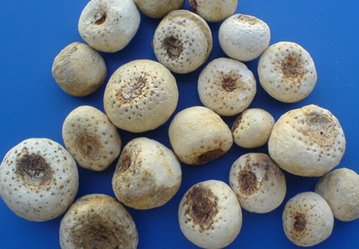 ���ĵĹ�Ч�c����-���ĵĽ�B