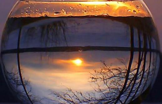 養身都真的有用嗎?怎么有效的養生呢?