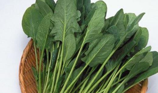 女性保養要趁早做好 推薦女人每月必吃4種防衰老食物