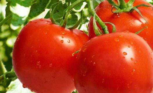 女性保養要趁早做好 推薦女人每月必吃4種防衰老食物