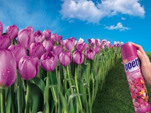 孕婦能用空氣清新劑嗎?寶寶可以使用空氣清新劑嗎