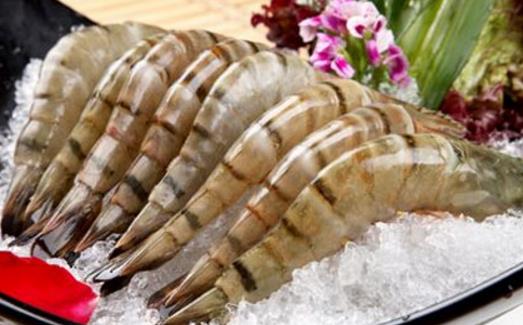 孕婦能吃哪些海鮮