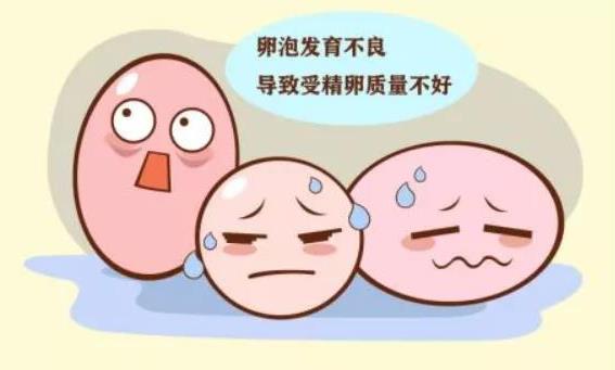 武漢仁愛醫院婦產科:檢查發現卵泡發育不良影響受孕怎么辦?這6種方法幫你解決