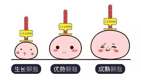 武漢仁愛醫院婦產科:檢查發現卵泡發育不良影響受孕怎么辦?這6種方法幫你解決