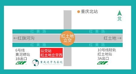 重慶黃泥磅送子鳥醫院:科學施治,喜孕相連