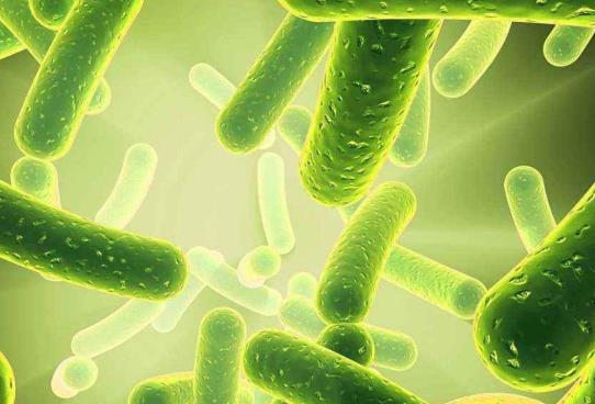 新生兒什么情況下要吃益生菌?寶寶益生菌應該怎么吃?