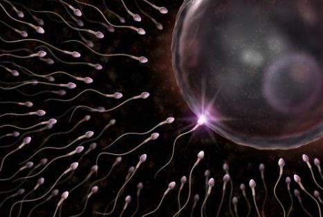 精子成活率低怎么辦?精子成活率低吃什么食物好