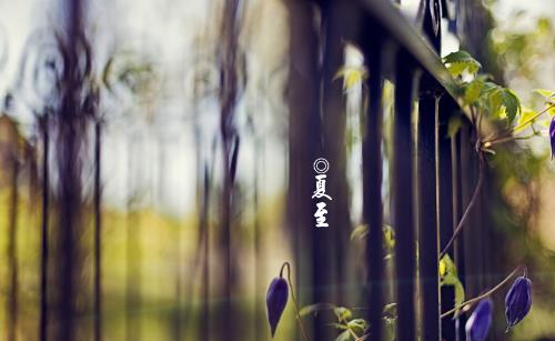 夏至是什么時候?夏至是什么意思?