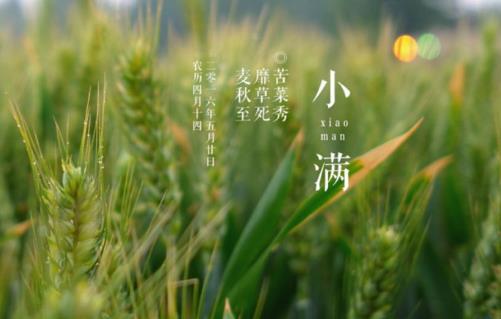 什么時候是小滿 小滿是什么時間?