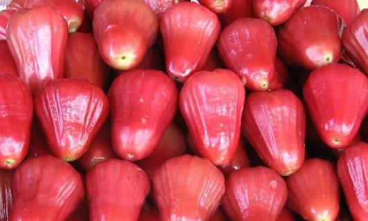 蓮霧幾月份成熟上市 蓮霧是什么季節的水果