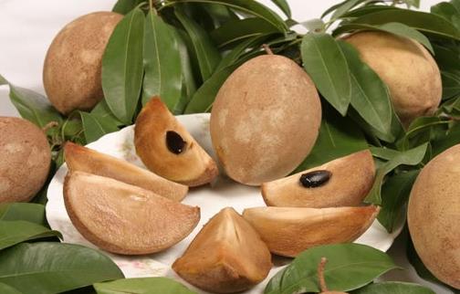 人心果什么時候成熟 人心果成熟季節