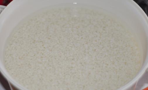 做米酒什么時候放酒曲 做米酒放酒曲最佳時間