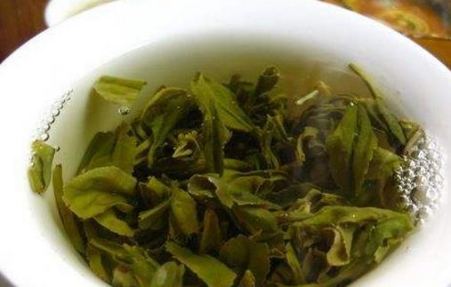 日照綠茶什么時(shí)候上市 日照綠茶什么時(shí)候采摘最好