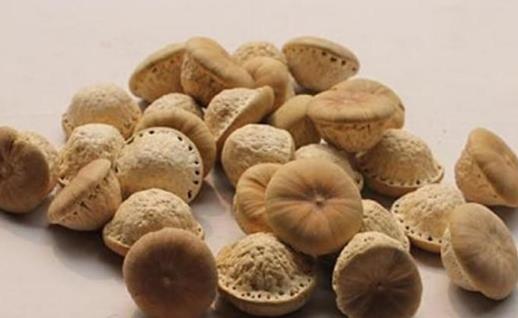 壯陽果什么時候成熟 壯陽果幾月成熟