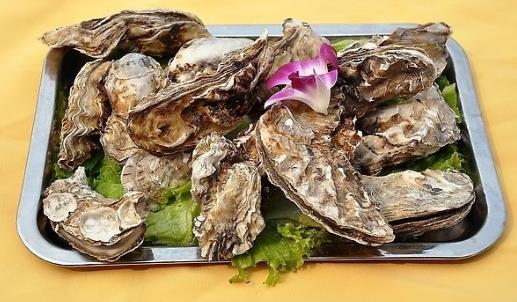 海蠣子最肥時候