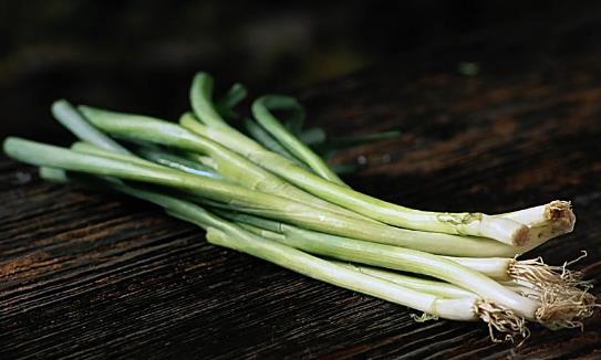 大蔥什么時候種植?大蔥什么時候上市