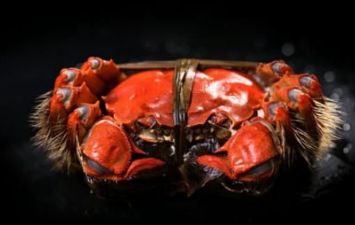 紅印蟹什么時候上市 紅印蟹上市時間