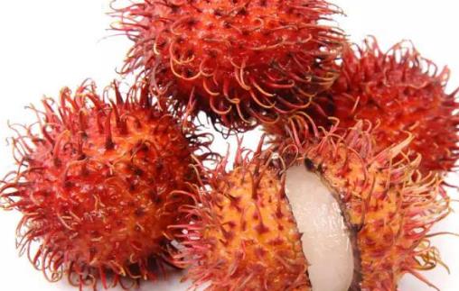 紅毛丹什么時候成熟 紅毛丹成熟季節