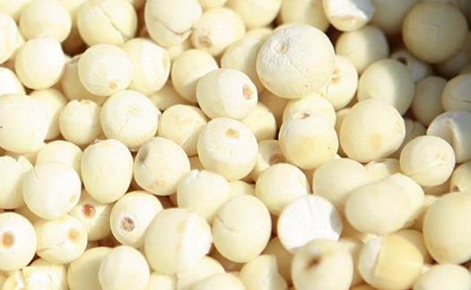 雞頭米什么時候上市?雞頭米什么時候最好吃