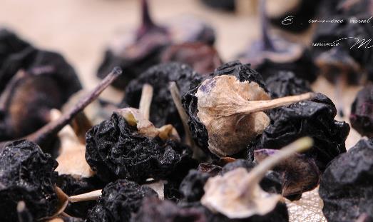 黑枸杞什么時候成熟?黑枸杞什么時候采摘