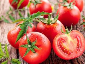 ?六月份可以種西紅柿嗎?西紅柿什么時候種?