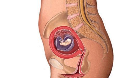 胎動(dòng)什么時(shí)候開(kāi)始 胎動(dòng)開(kāi)始時(shí)間