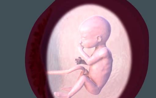 胎動(dòng)什么時(shí)候開(kāi)始 胎動(dòng)開(kāi)始時(shí)間