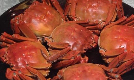 盤錦河蟹什么時候最好?盤錦河蟹什么時候最肥