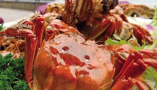 盤錦河蟹什么時候最好?盤錦河蟹什么時候最肥