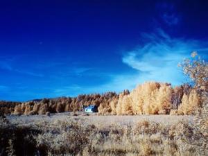 ؐʲôrȥ ؐʲô(ji)ȥ