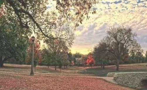 溫哥華楓葉什么時候紅 溫哥華楓葉開始紅的時期