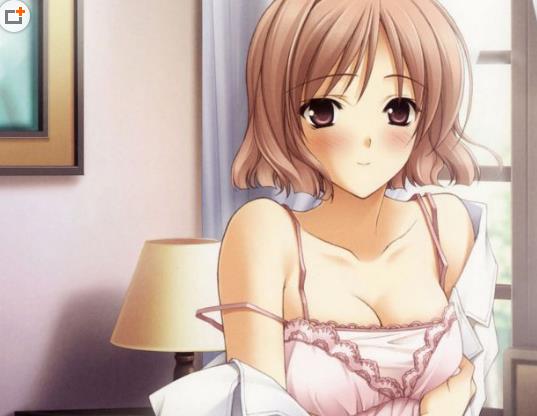 十大最性感日本動漫女仆排行榜 葛瑞菲雅·路基弗古斯戰斗力最強