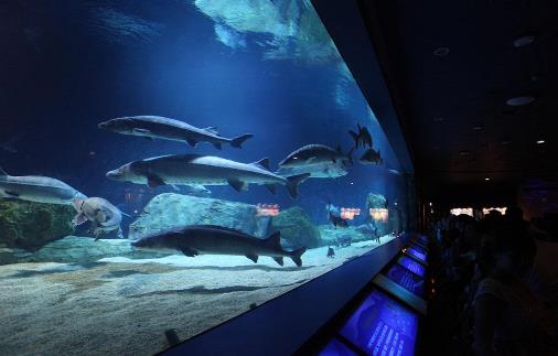 1、北京海洋館.jpg