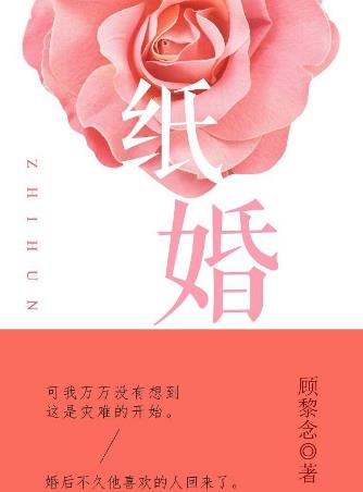 有關愛情的十本經典小說排行榜,《半暖時光》第一,《紙婚》,第二