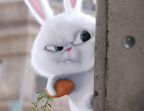 迪士尼動畫電影排名,尋夢環游記、海洋奇緣深受喜愛