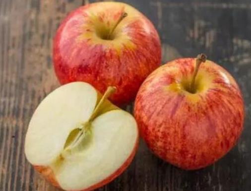 世界水果之王排名,獼猴桃、榴蓮營養(yǎng)價(jià)值都很高