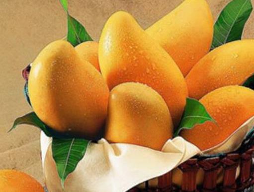 世界水果之王排名,獼猴桃、榴蓮營養(yǎng)價(jià)值都很高