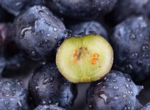 世界水果之王排名,獼猴桃、榴蓮營養(yǎng)價(jià)值都很高