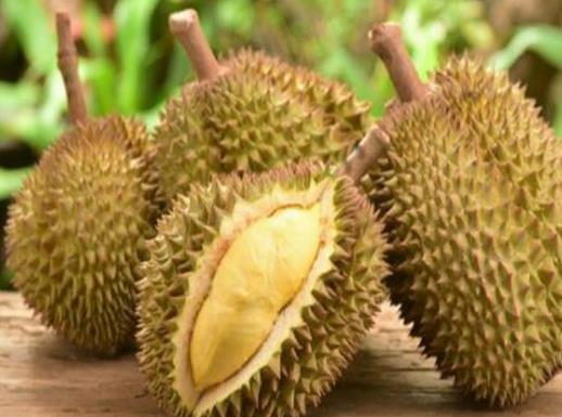 世界水果之王排名,獼猴桃、榴蓮營養(yǎng)價(jià)值都很高