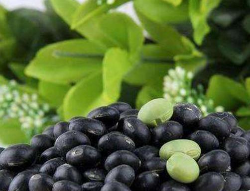 十大營養粗糧排名,吃粗糧高粱通便清胃,但不建議多吃