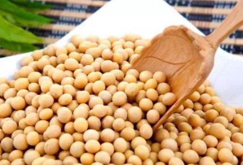 十大營養粗糧排名,吃粗糧高粱通便清胃,但不建議多吃