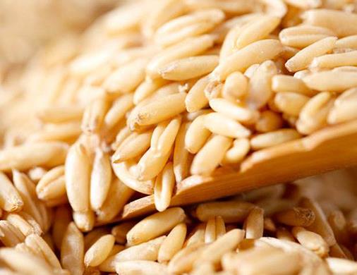 十大營養粗糧排名,吃粗糧高粱通便清胃,但不建議多吃