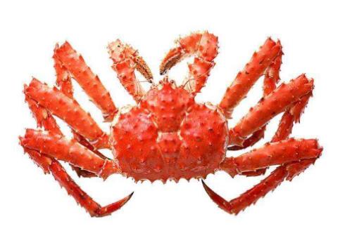 世界最貴十種蟹排行榜,阿拉斯加帝王蟹體型大,俄羅斯帝王蟹鮮美